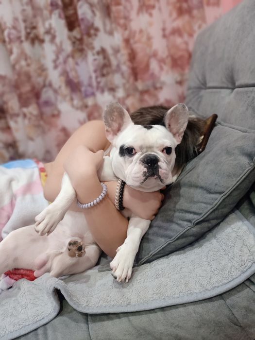 Ищем девочку для вязки