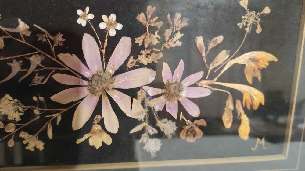 2 стенни пана/картини с изсушени цветя
