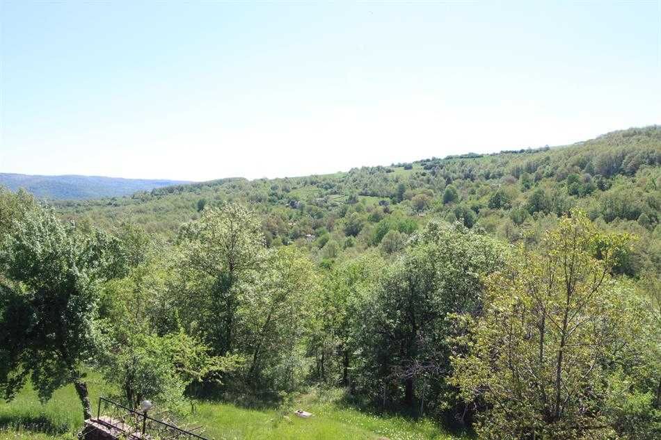 13451 -Истинско Бижу