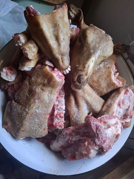 Үйілген серкенің еті сатылады