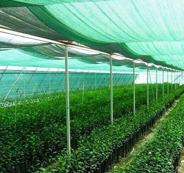 Затеняющий защитный сетка/Quyoshdan himoyalovchi setkalar