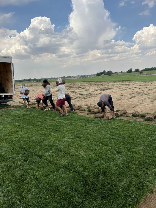 Gazon o’ptim  Abyomda bor  Kopro osela skidka bor