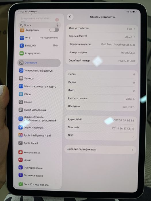 Айпад Про 11 М4 256gb 100%