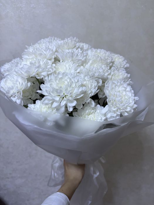 Продам цветы 6000тенге