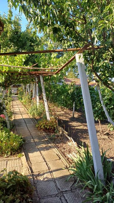 Продава се Къща в Плиска - 1600 кв.м за 26 €/кв.м - Снимка #5