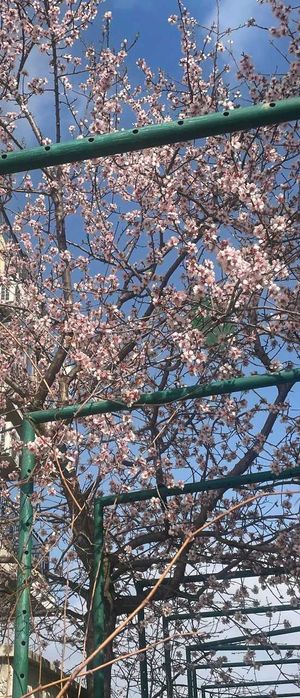 Продава се Тристаен апартамент в Варна, Галата - 87 кв.м за 674 €/кв.м - Снимка #10