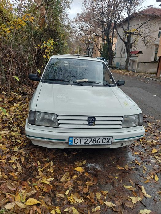 Peugeot 309 GREEN