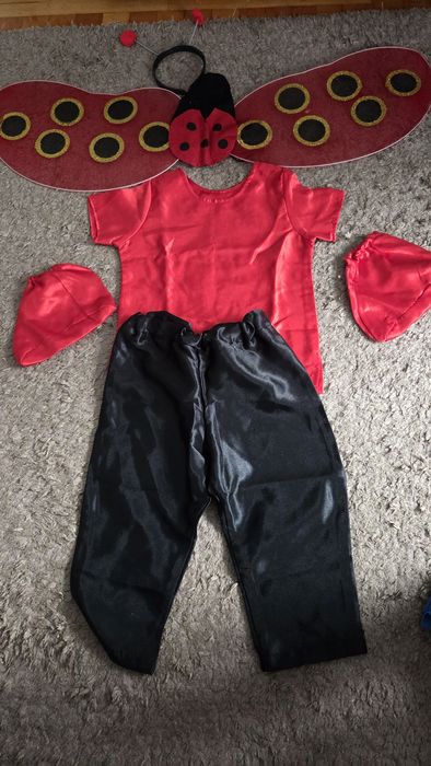 Costum complet Buburuză pentru serbare / carnaval - Stare excelentăCostum complet Buburuză pentru serbare / carnaval - Stare excelentă