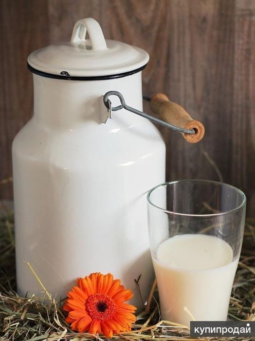 Қолдың сүті, Домашное молоко