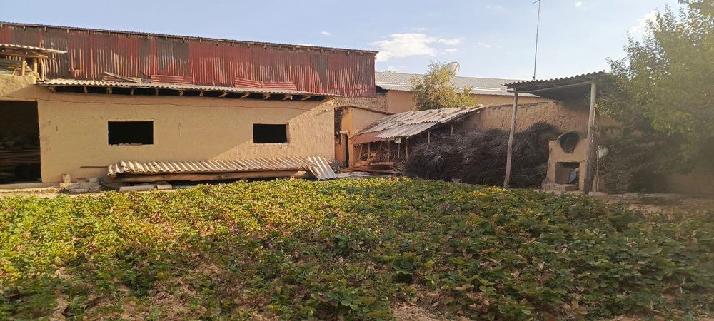 Yer sotiladi 5 sotka