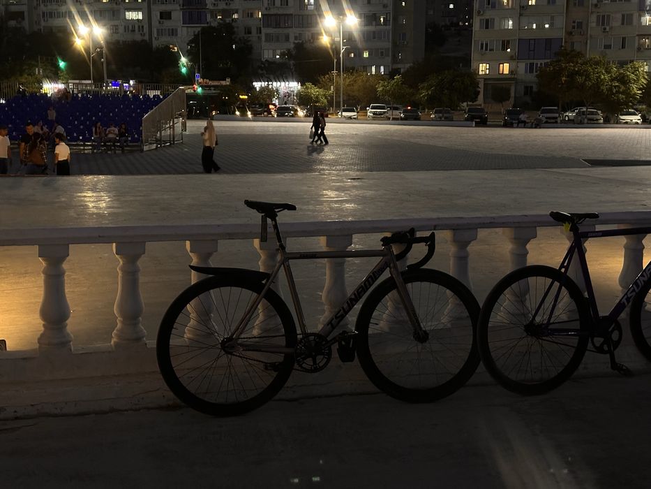 Tsunami/ Fixed gear