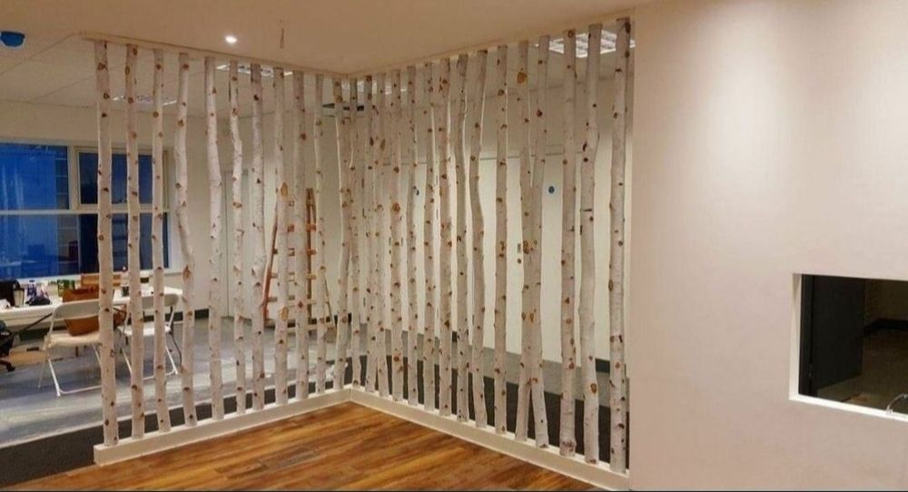 Trunchiuri mesteacan alb /  Riflaje  mesteacan/ Pom pentru pisici