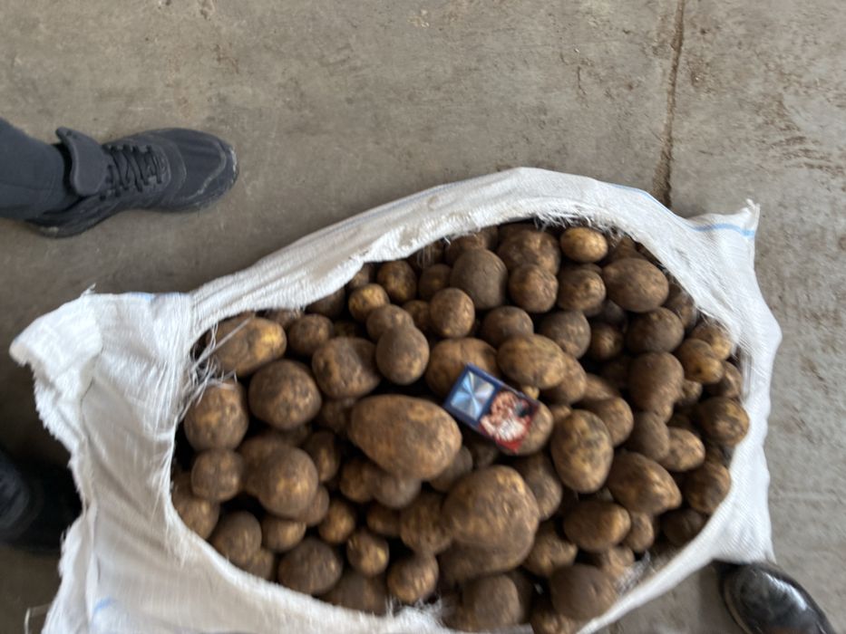 Картофель гала 150 тенге отпом