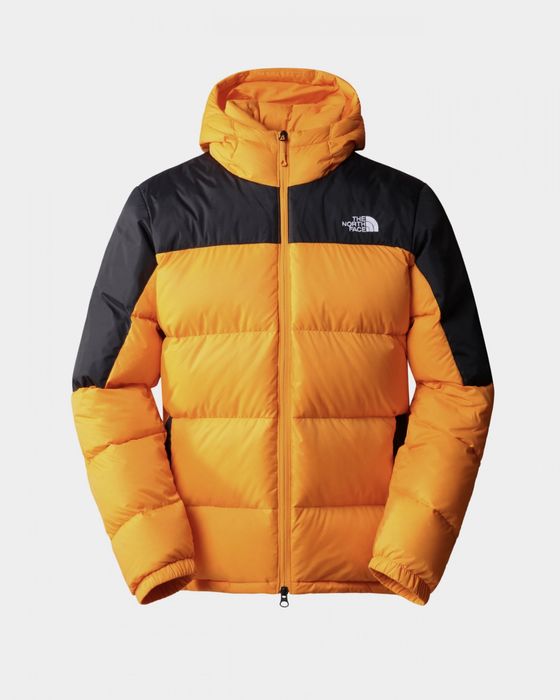 The North face оригинал