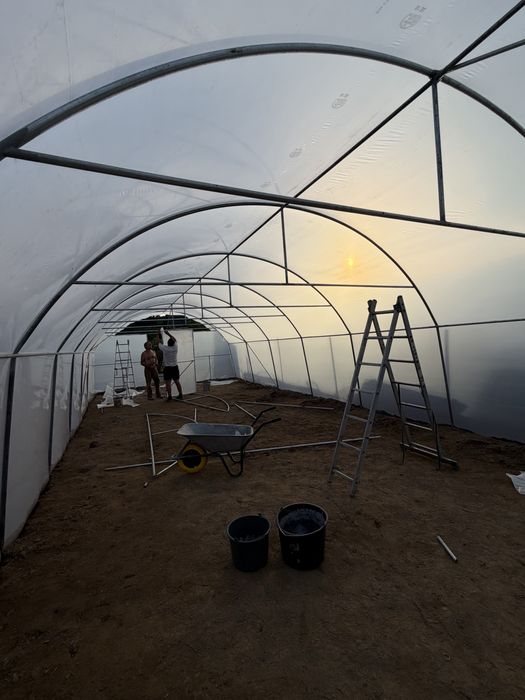 Solar legume solarii flori sera agricola