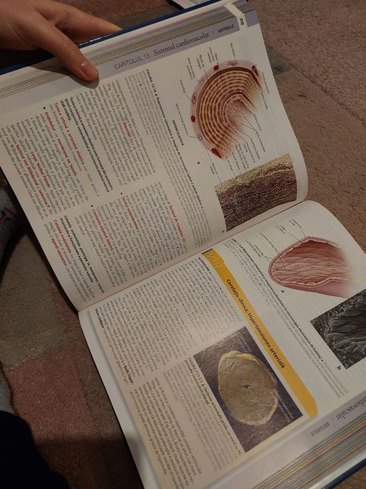 Atlas Histologie Ross