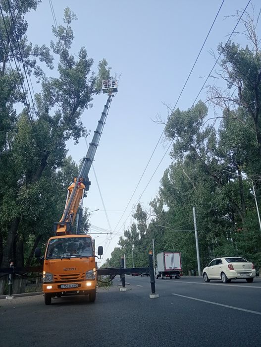 Спилим деревя от 5000тг