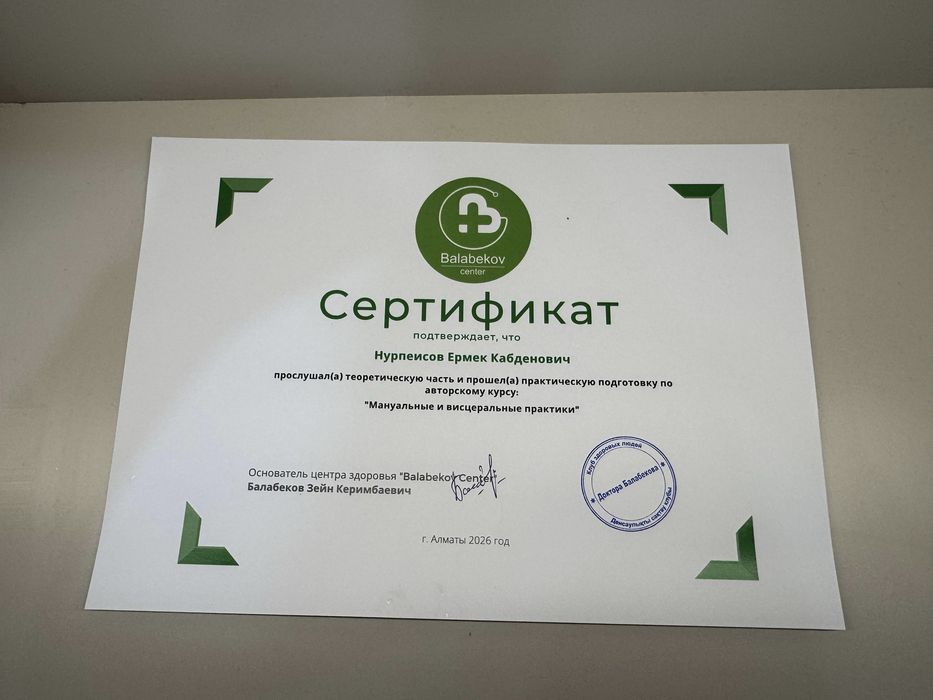 Висцеральная мануальная терапия