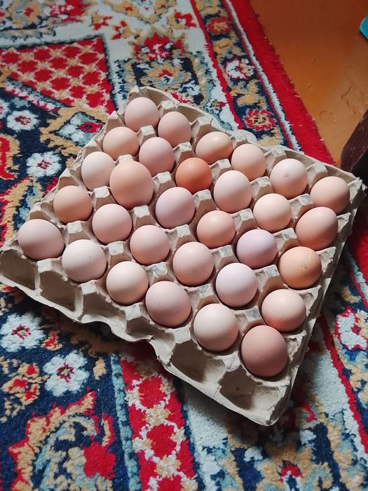 Продам яйцо от домашних кур