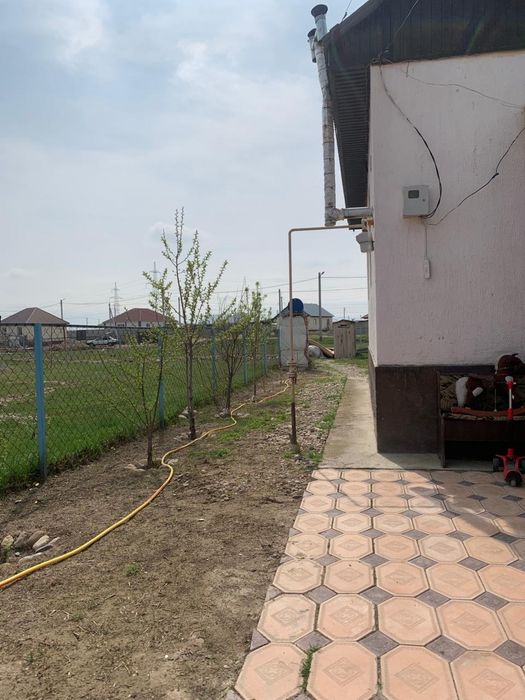 Уй сатылады 12 миллион