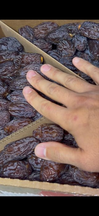 Финики, Саудия, оптом и в розницу