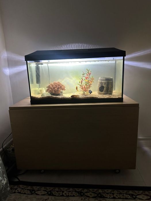 аквариум 40 литр