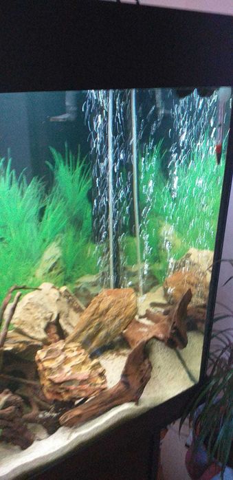 Pompa aer Tetra APS 400 cu furtun diffuzor si aerare, piatra aerare