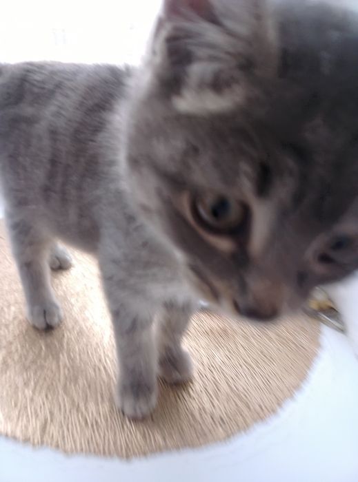 Ишим добрый ручки