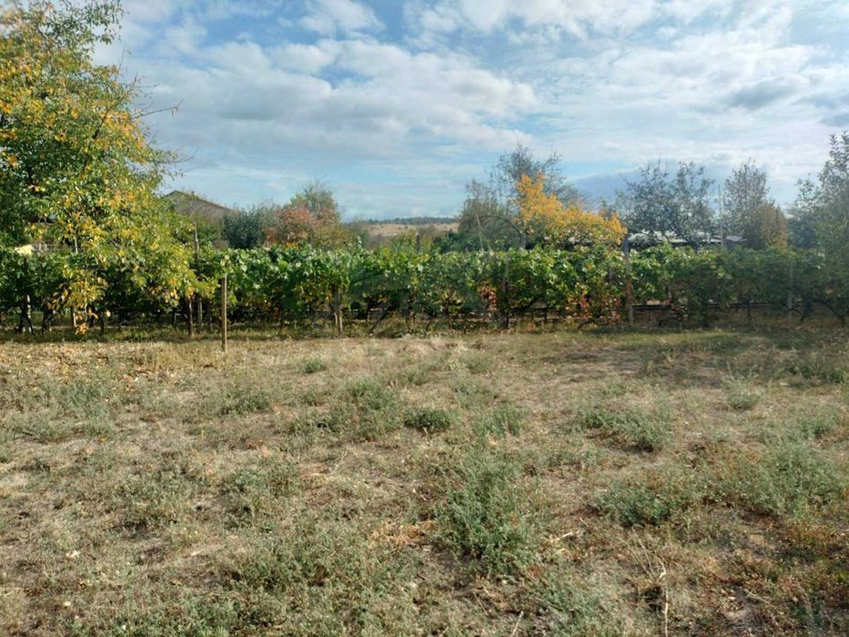 Продава се Къща в с. Черничево, Област Пловдив - 100 кв.м за 1100 €/кв.м - Снимка #3