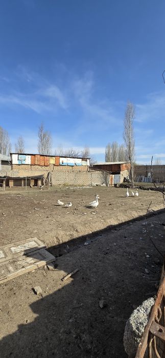 Кибрай цен.8.32.сот.6.хона.