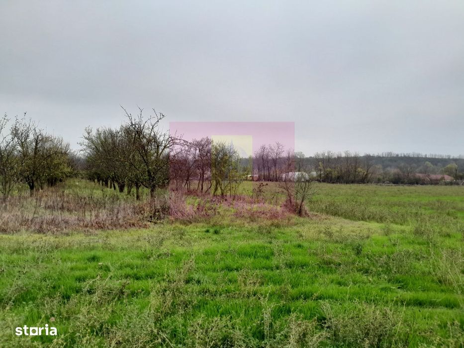 Barcanesti (Il) - Se Vinde Casa + Teren 16K Mp