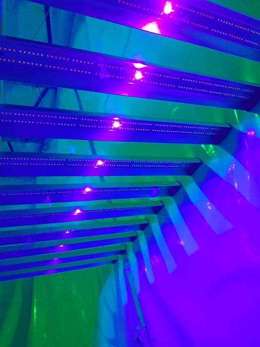 Green Sensation 1000W led grow lights