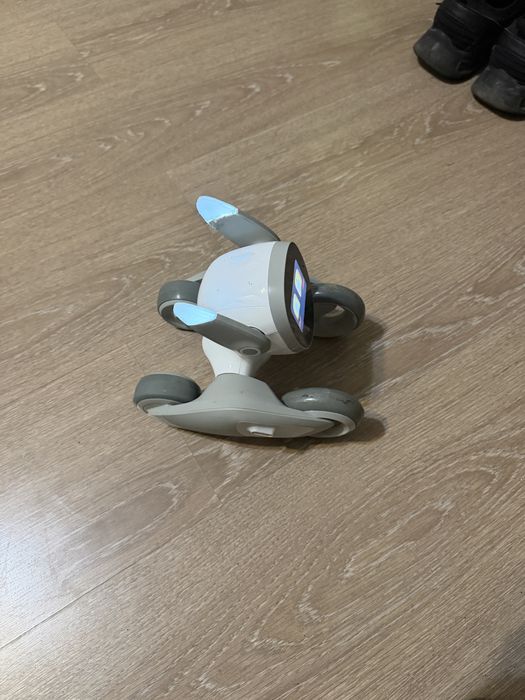 Vand robot Loona Petboot