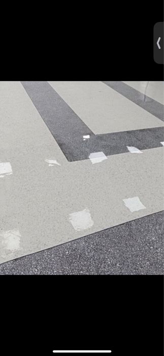 Мазайка сташка