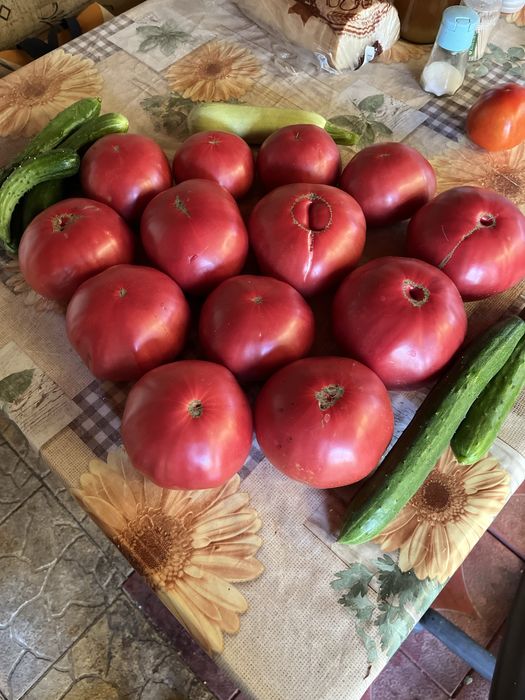 Продавам разсад розови домати