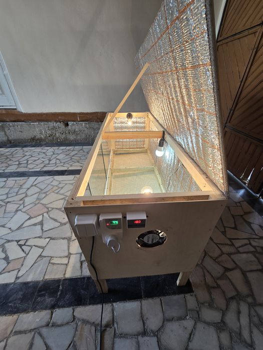 Bruder брудер жужа учун