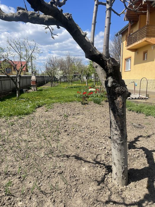 Casa cu etaj com Gropnita sat Bulbucani