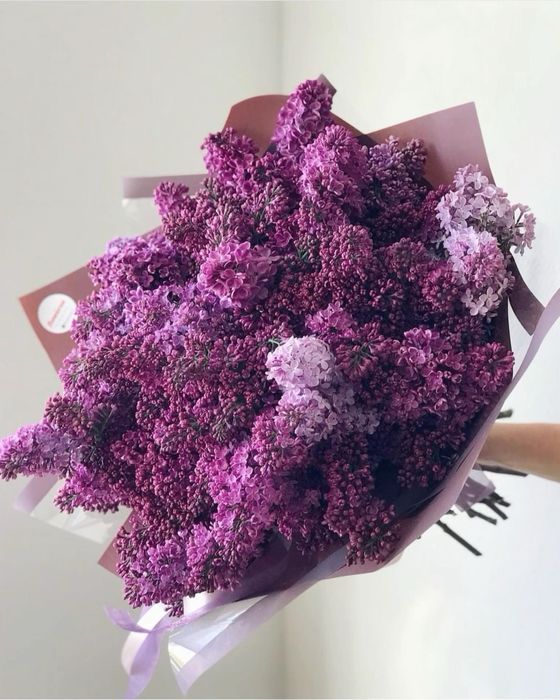 Сирень букет ароматные