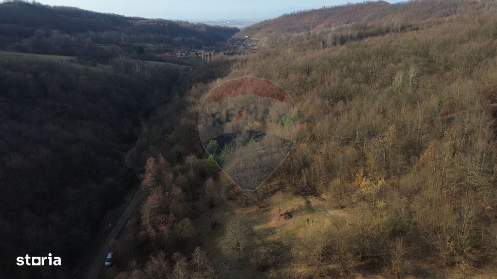 Poiană pentru cabana de vanzare intravilan Coas