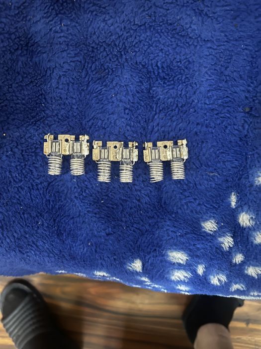 Becuri protectie Dynacord EV