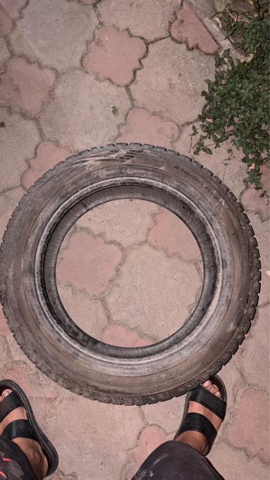 215/55/17 зимний триангл