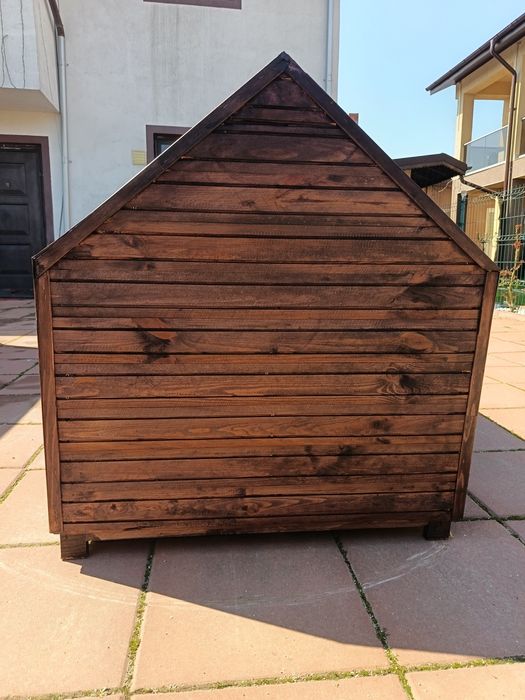 Cușcă câine, coteț