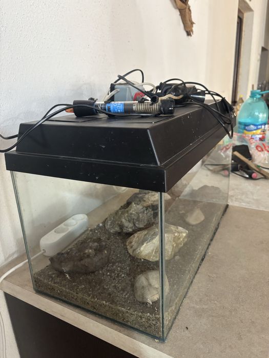 acvariu complet cu filtru, incalzitor, lampa