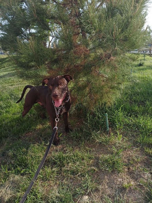 предлогаем кабеля для вязки (не продаётся)