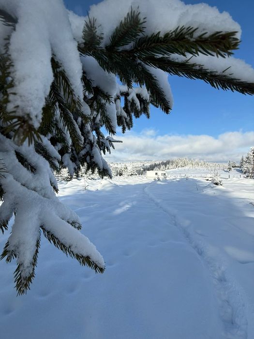 teren la munte 1000mp