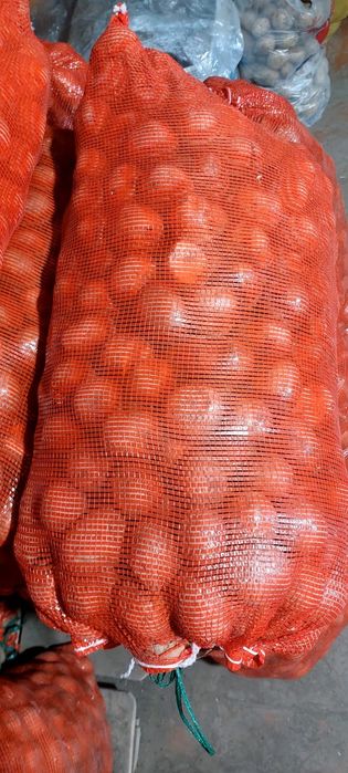 Продам картофель Марковь