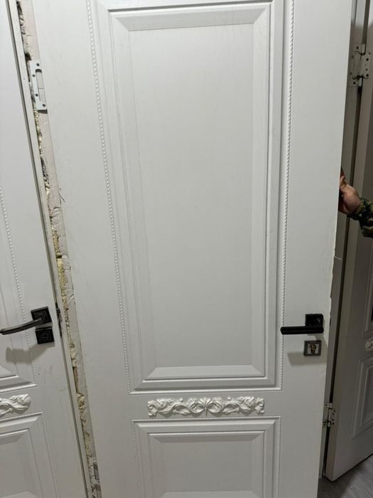 Кухонный гарнитур и дверий