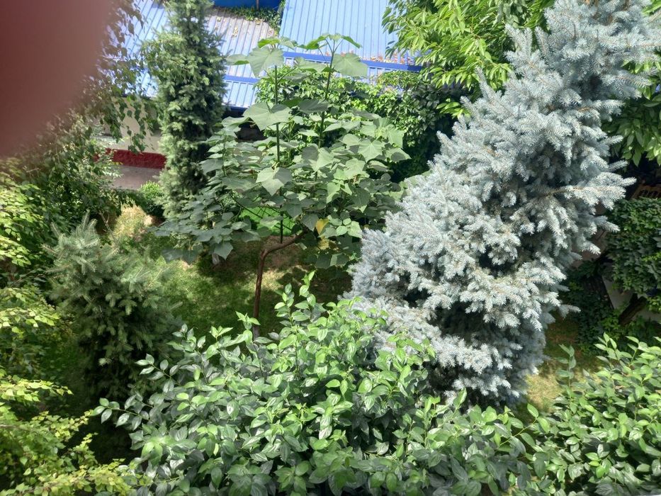 Дача Аренда Без посредников,Бочка