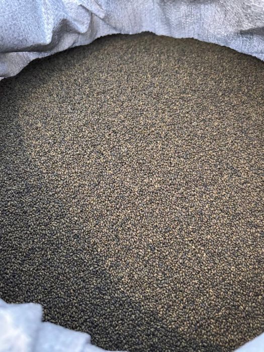 Семена люцерны высшего качество