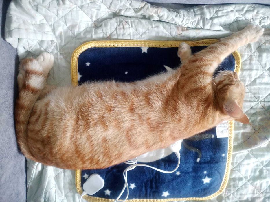 Коврик с подогревом